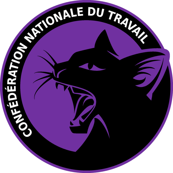 Protocole au sujet des violences sexistes, sexuelles et patriarcales